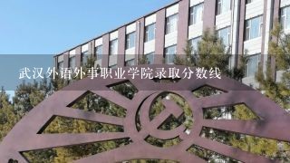 武汉外语外事职业学院录取分数线