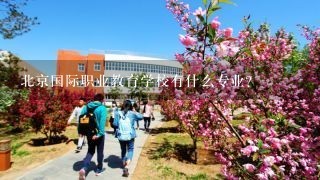 北京国际职业教育学校有什么专业?