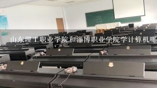 山东理工职业学院和淄博职业学院学计算机哪个学校好？