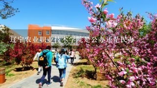 辽宁农业职业技术学院是公办还是民办
