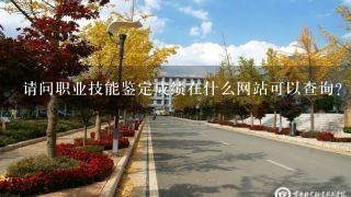 请问职业技能鉴定成绩在什么网站可以查询？我10月份在云南电力教育中心考的。