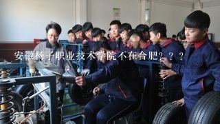 安徽杨子职业技术学院不在合肥？？？