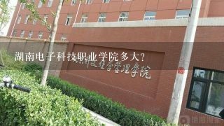 湖南电子科技职业学院多大？