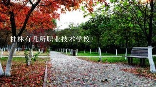 桂林有几所职业技术学校？