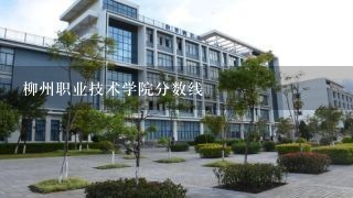 柳州职业技术学院分数线