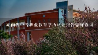 湖南省中等职业教育学历认证报告怎样查询