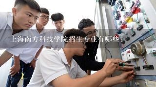 上海南方科技学院招生专业有哪些？