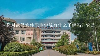 你对武汉软件职业学院有什么了解吗？它是1所什么类型的学校呢？
