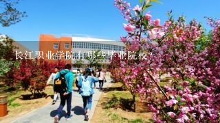 长江职业学院有哪些毕业院校?