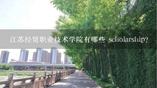 江苏经贸职业技术学院有哪些 scholarship?