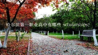 哈尔滨第一职业高中有哪些 scholarships?