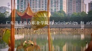 广东茂名南方职业学院的 scholarships 和 aid 的多少?